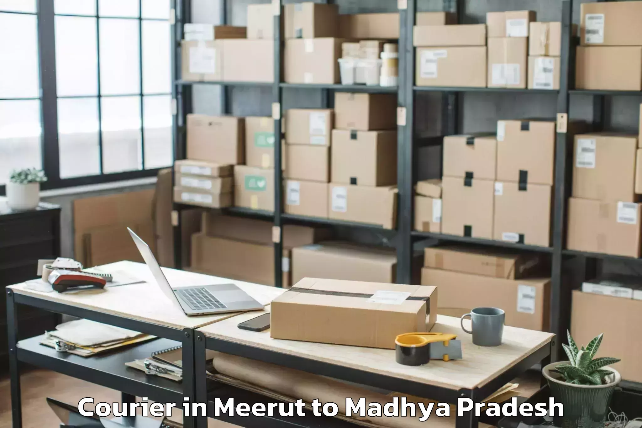 Leading Meerut to Porsa Courier Provider